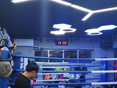 -M.S拳击泰拳馆(大学路店)