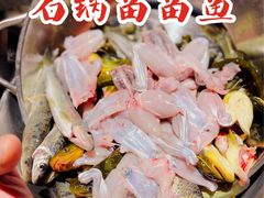 -石锅苗苗鱼(武汉首店)