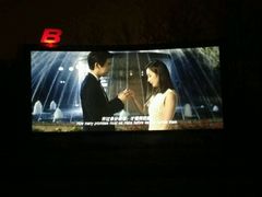 -枫花园汽车电影院(朝阳公园店)