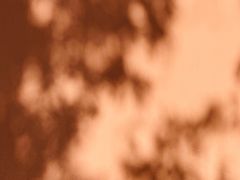 -重庆市江北嘴中央商务区中央公园