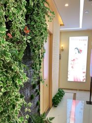 -芳朵美容养生SPA