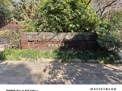 -杭州半山国家森林公园