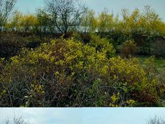 -天津东丽湖风景区