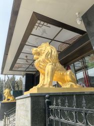 -中国黄金(北京旗舰店)