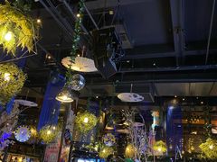 大堂-胡桃里音乐酒馆(石家庄店)