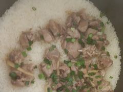 -大鸽饭(马王堆店)