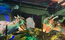 -恐龙探索乐园(磁器口店)