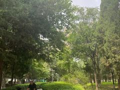-庄怡公园