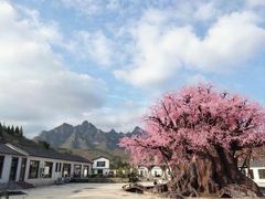 -狼牙山风景区