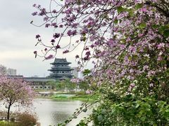 -海珠湖公园