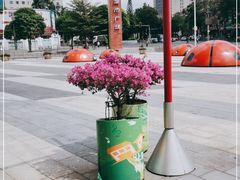 -万科城市广场(厚街店)
