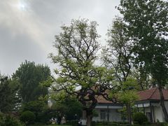 -烟台山景区