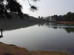 -南京市无想山景区