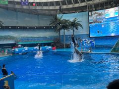 -海合安成都极地海洋公园