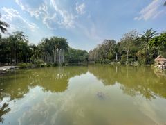 -中国科学院西双版纳热带植物园