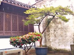 -绍兴鲁迅故里·沈园景区