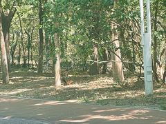 -北京凤凰岭