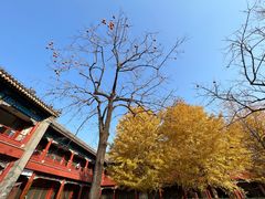 -北京石刻艺术博物馆(五塔寺)