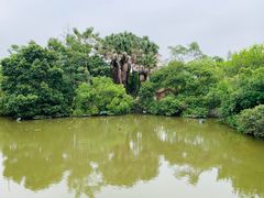 -滴水岩森林公园