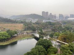 -广州汇华希尔顿逸林酒店