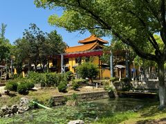 -亭林园-华藏寺