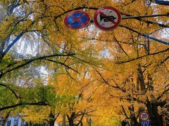 -四川大学华西第四医院