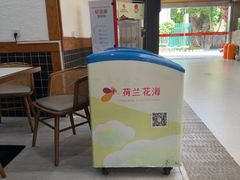 -荷兰花海