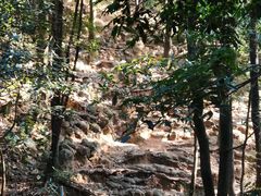 -火炉山森林公园