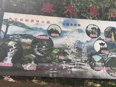 -西安祥峪森林公园