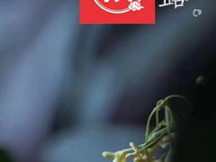 -裕和堂中医推拿艾灸(太古汇臻品店)