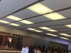 -Apple零售店(深圳益田假日广场店)
