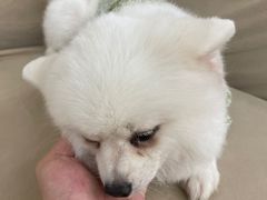 -怪兽屋·羊驼·猫咖·狗咖(俊华广场店)