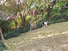-乌山风景区