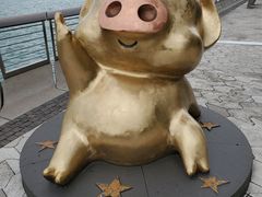 -星光大道