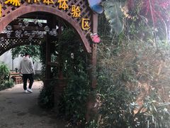 -天目湖山水园