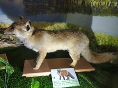 -下渚湖国家湿地公园科普馆