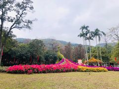 -桃花涧