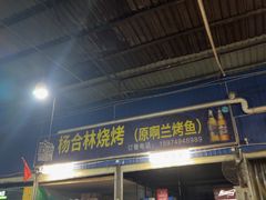 -杨合林啊兰烤鱼