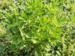 -南京市无想山景区