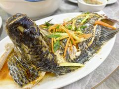 -琼海温泉鹅农家饭店