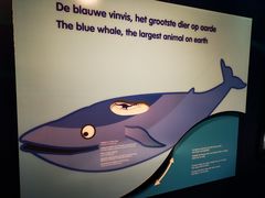 -国家海事博物馆