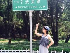 -八大关景区