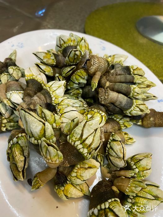 哈味食店(外伶仃岛店)白灼狗抓螺图片