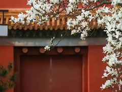 -故宫博物院(故宫)