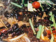 -老板恋上鱼(恒隆广场店)