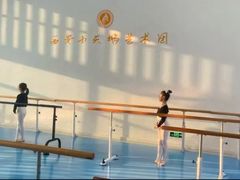 -西安小天鹅艺术团(曲江Alice店)