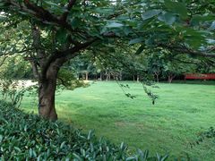 -紫霞湖公园