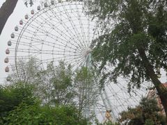 -万泉公园