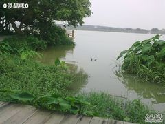 -鹤之洲湿地公园