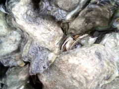 -珠海金沙滩